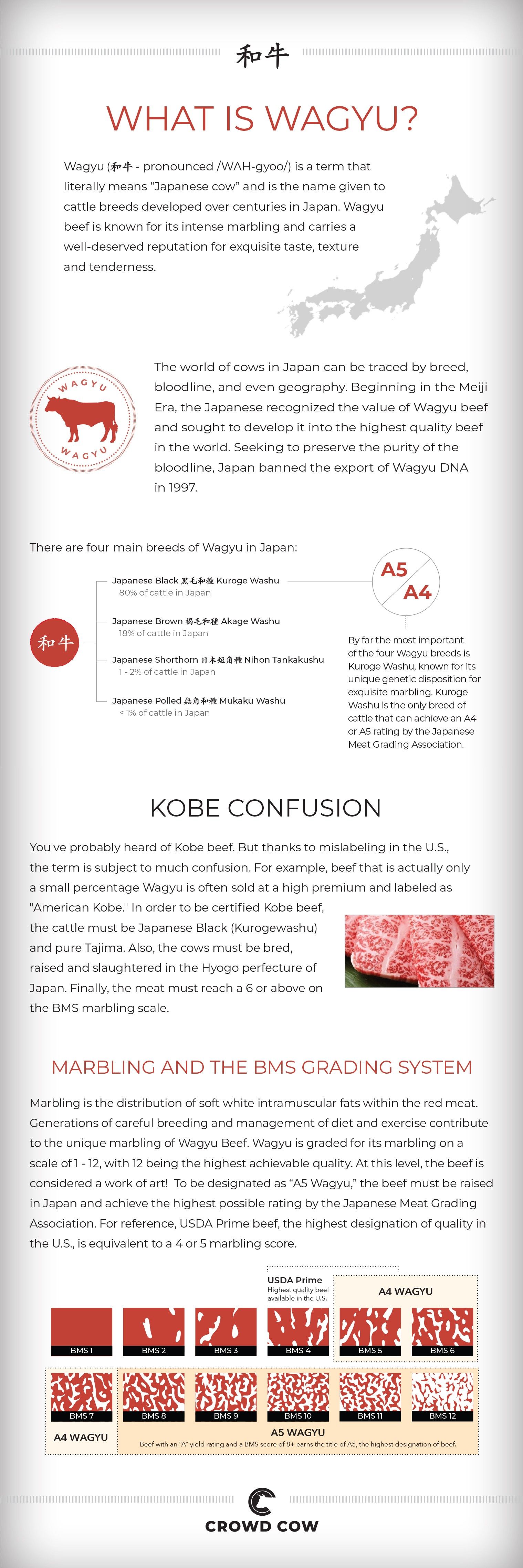 Updated-Wagyu-Infographic-6.12.20-cropped